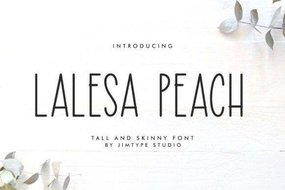 Lalesa Peach: Whimsical Script Amp Fonts for Crafts